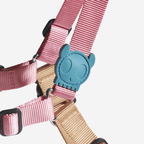 <strong>Zee.Dog</strong> Soft Walk Jelly Arnés Anti-Tirones para Perros - Imagen 3