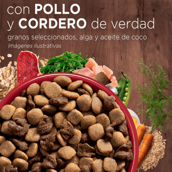 <strong>Purina ONE</strong> Alimento Seco para Perros, Adulto, Raza Mediana/Grande, Pollo y Cordero, bolsa de 6-12 kg - Imagen 3