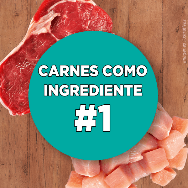 <strong>Purina ONE</strong> Alimento Seco para Gatitos, Pollo y Carne, bolsa de 2-6 kg - Imagen 5