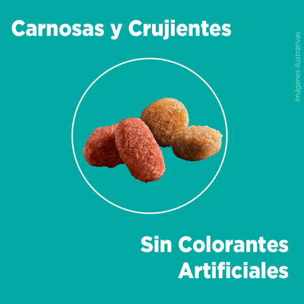 <strong>Purina ONE</strong> Alimento Seco para Gatos Esterilizados, Pollo y Salmón, bolsa de 2-6 kg - Imagen 5