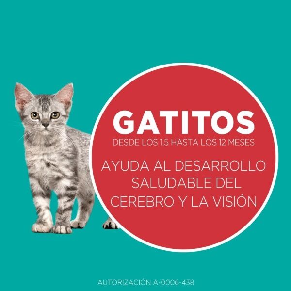 <strong>Purina ONE</strong> Alimento Seco para Gatitos, Pollo y Carne, bolsa de 2-6 kg - Imagen 2