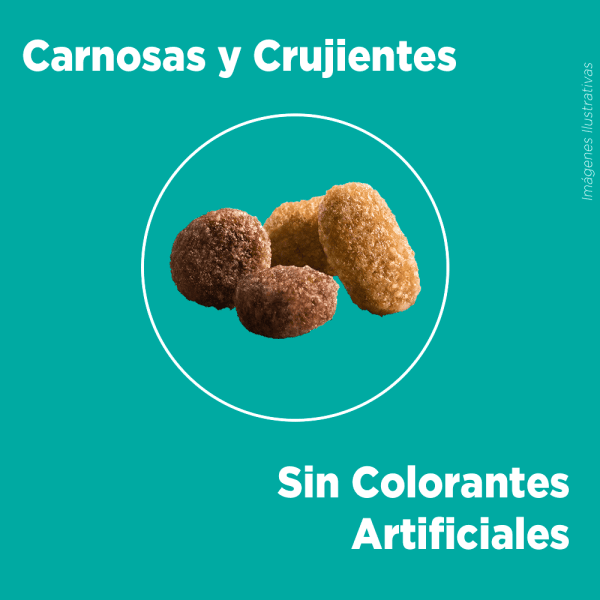 <strong>Purina ONE</strong> Alimento Seco para Gatitos, Pollo y Carne, bolsa de 2-6 kg - Imagen 4