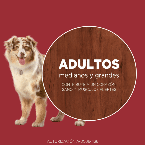 <strong>Purina ONE</strong> Alimento Seco para Perros, Adulto, Raza Mediana/Grande, Pollo y Carne, bolsa de 6-12 kg - Imagen 2