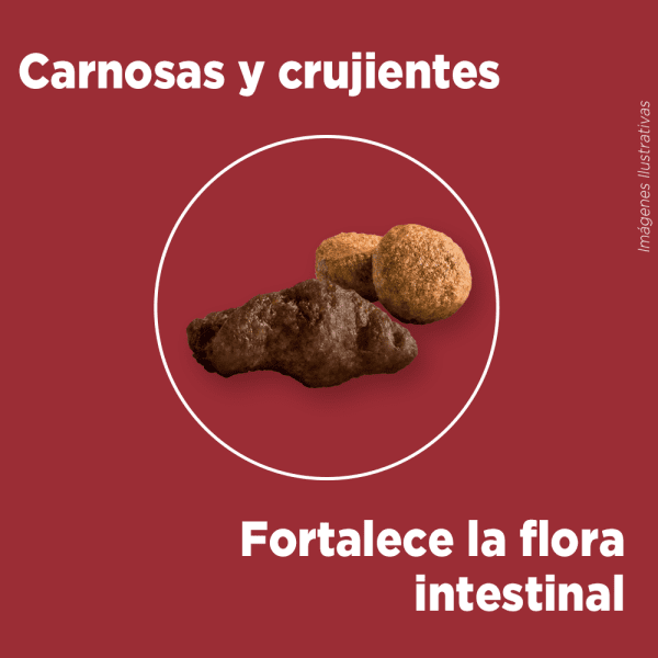 <strong>Purina ONE</strong> Alimento Seco para Perros, Adulto, Raza Mediana/Grande, Pollo y Carne, bolsa de 6-12 kg - Imagen 4