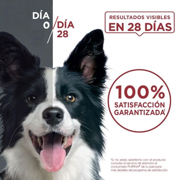 <strong>Purina ONE</strong> Alimento Seco para Perros, Adulto, Raza Mediana/Grande, Pollo y Cordero, bolsa de 6-12 kg - Imagen 6