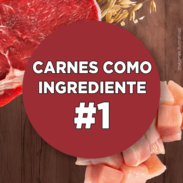 <strong>Purina ONE</strong> Alimento Seco para Perros, Adulto, Raza Mediana/Grande, Pollo y Cordero, bolsa de 6-12 kg - Imagen 4