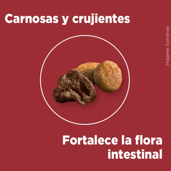 <strong>Purina ONE</strong> Alimento Seco para Perros, Adulto, Raza Mediana/Grande, Pollo y Cordero, bolsa de 6-12 kg - Imagen 5