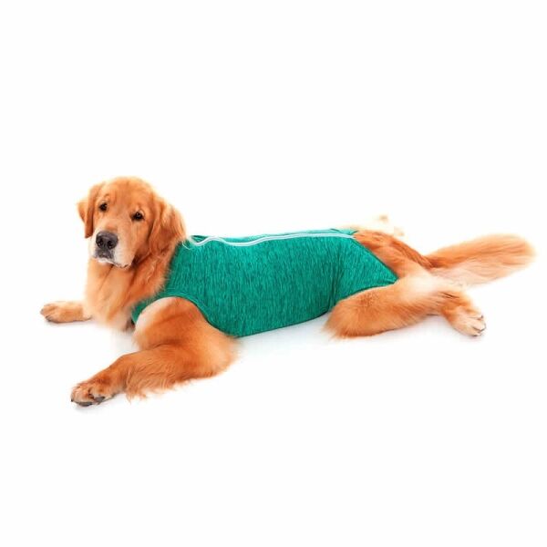 <strong>Pet Med</strong> Body Post-Quirúrgico Verde para Perros, Protección UV50+, Tallas 00-15 - Imagen 4