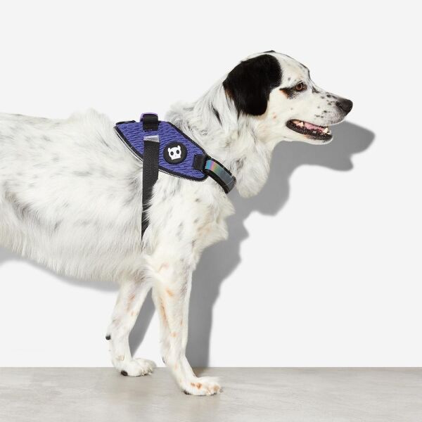 <strong>Zee.Dog</strong> Wicked FlyHarness Arnés Ultraligero para Perros - Imagen 2