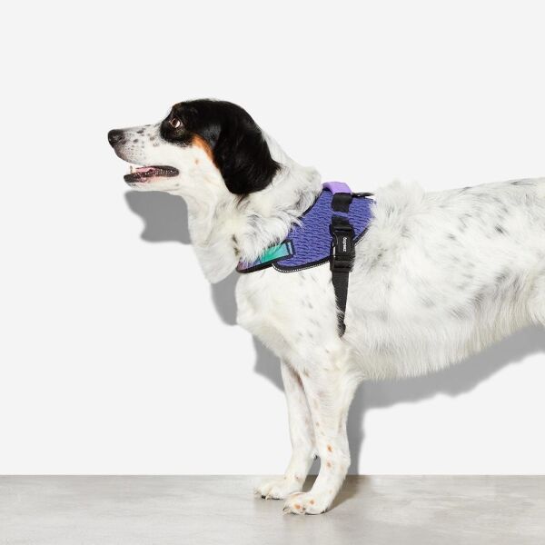 <strong>Zee.Dog</strong> Wicked FlyHarness Arnés Ultraligero para Perros - Imagen 6