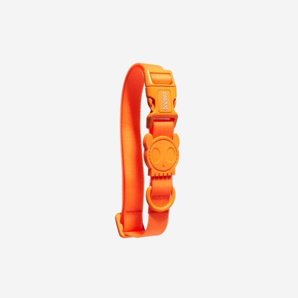 <strong>Zee.Dog</strong> Neopro Tangerine, Collar de Polyester para Perros, Tallas: XS, S, M, L