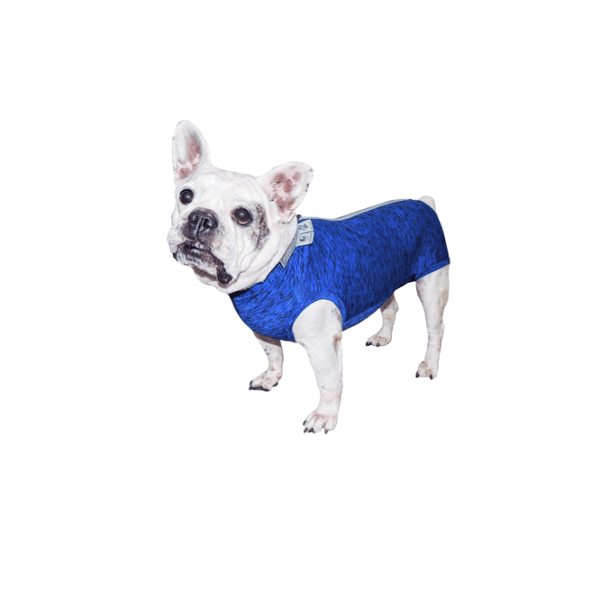 <strong>Pet Med</strong> Body Postquirúrgico para Bulldog Francés Machos, Protección UV y Antimicrobiana
