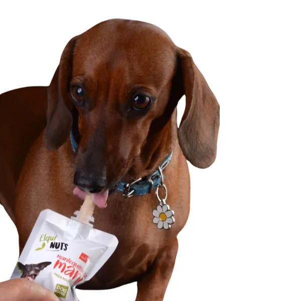 <strong>Elqui Nuts</strong> Mantequilla de Maní, Snack Húmedo Natural para Perros, pouch de 90 Gr - Imagen 2