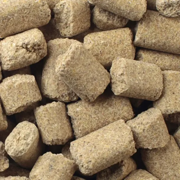 <strong>Mazuri</strong> Rat and Mouse Diet, Alimento para Ratas, bolsa de 900 gr - Imagen 3