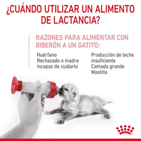 <strong>Royal Canin</strong> Baby Cat Milk, Alimento de Lactancia para Gatitos, 0 a 2 meses de edad, Envase de 300 gr - Imagen 2