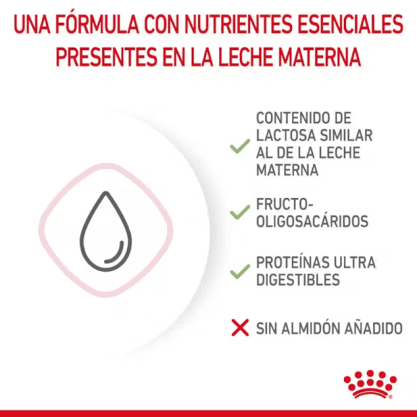 <strong>Royal Canin</strong> Baby Cat Milk, Alimento de Lactancia para Gatitos, 0 a 2 meses de edad, Envase de 300 gr - Imagen 3