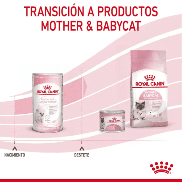 <strong>Royal Canin</strong> Baby Cat Milk, Alimento de Lactancia para Gatitos, 0 a 2 meses de edad, Envase de 300 gr - Imagen 6