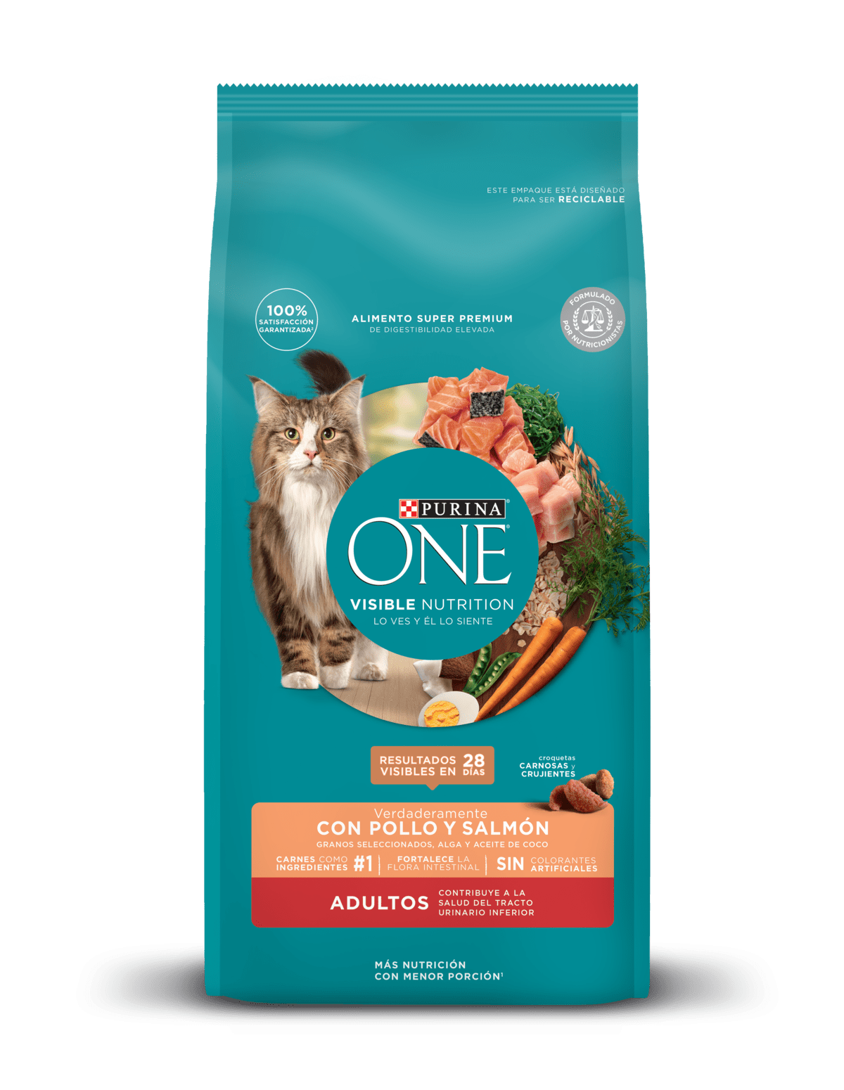 <strong>Purina ONE</strong> Alimento Seco para Gatos Adultos, Pollo y Salmón, bolsa de 2-6 kg