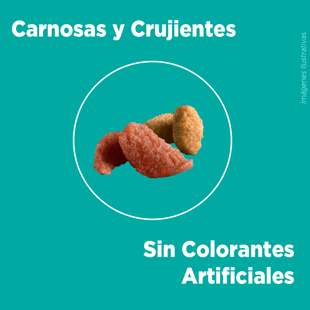 <strong>Purina ONE</strong> Alimento Seco para Gatos Adultos, Pollo y Salmón, bolsa de 2-6 kg - Imagen 4