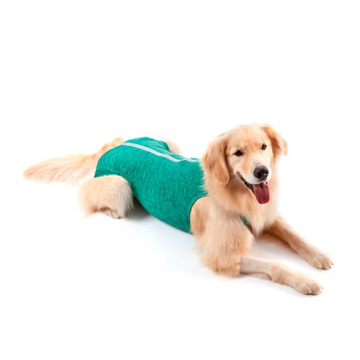 <strong>Pet Med</strong> Body Post-Quirúrgico Verde para Perros, Protección UV50+, Tallas 00-15 - Imagen 2