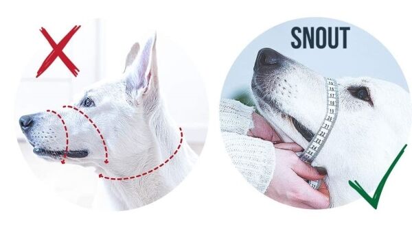 <strong>Pawise</strong> Cabestro, Collar de Cabeza para Perros, Tallas XS a XXL - Imagen 5