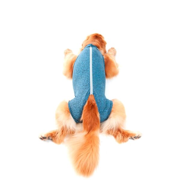 <strong>Pet Med</strong> Duo Dry, Body Post-Operatorio para Perros Machos, Tallas 00-16 - Imagen 4