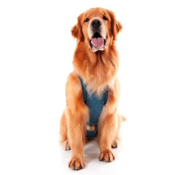 <strong>Pet Med</strong> Duo Dry, Body Post-Operatorio para Perros Machos, Tallas 00-16