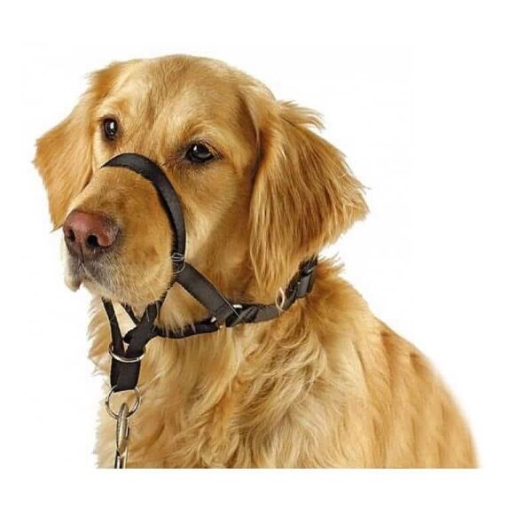 <strong>Pawise</strong> Cabestro, Collar de Cabeza para Perros, Tallas XS a XXL