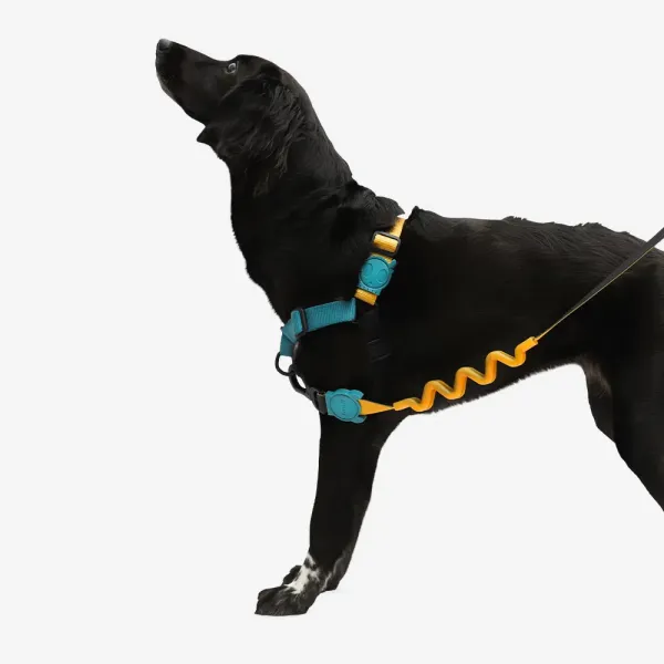 <strong>Zee.Dog</strong> Soft Walk Valley Arnés Anti-Tirones para Perros - Imagen 3