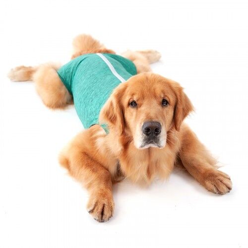 <strong>Pet Med</strong> Body Post-Quirúrgico Verde para Perros, Protección UV50+, Tallas 00-15 - Imagen 3