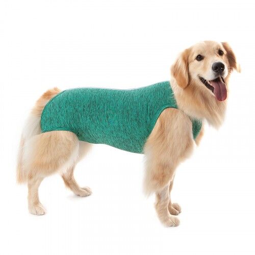 <strong>Pet Med</strong> Body Post-Quirúrgico Verde para Perros, Protección UV50+, Tallas 00-15