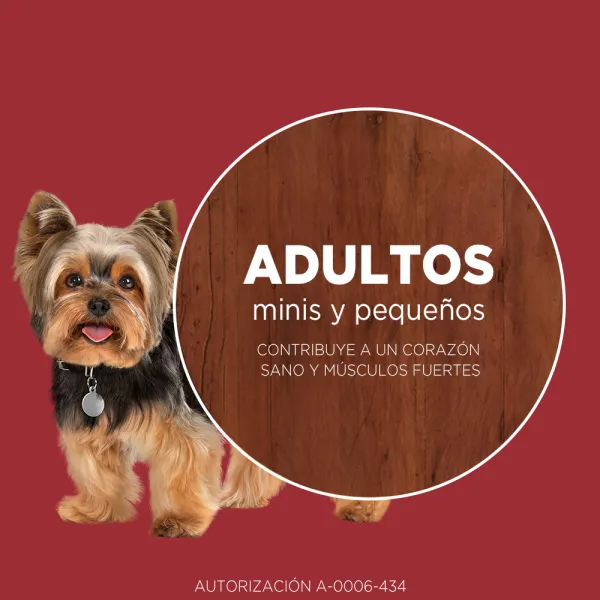 <strong>Purina ONE</strong> Alimento Seco para Perros, Adulto, Raza Mini/Pequeña, Pollo y Carne, bolsa de 2 kg - Imagen 2