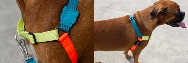 <strong>Zee.Dog</strong> Soft Walk Jumper Arnés Anti-Tirones para Perros, Talla M - Imagen 4