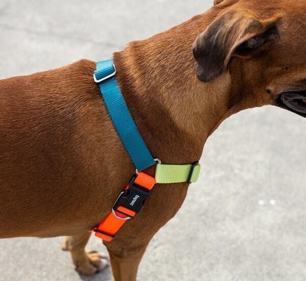 <strong>Zee.Dog</strong> Soft Walk Jumper Arnés Anti-Tirones para Perros, Talla M - Imagen 5