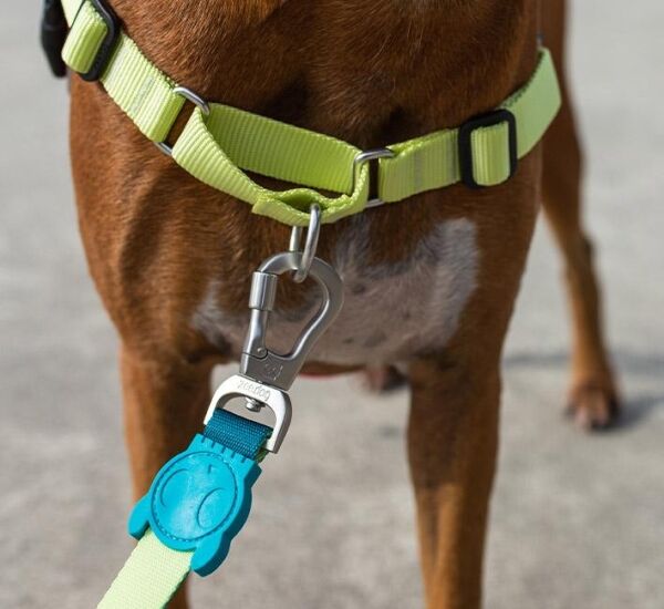 <strong>Zee.Dog</strong> Soft Walk Jumper Arnés Anti-Tirones para Perros, Talla M - Imagen 2