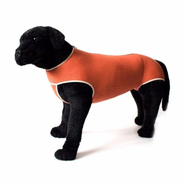 <strong>Kimba Vet</strong> Body de Cobre Castración para Perros, Tecnología Antibacteriana