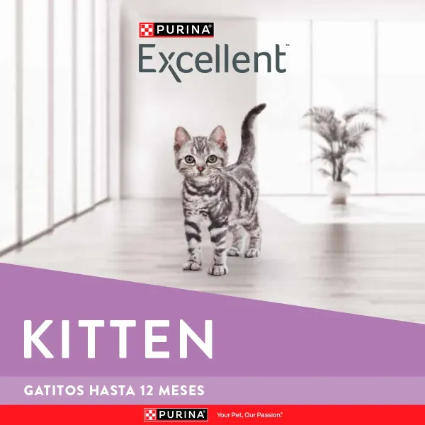 <strong>Purina Excellent</strong> Alimento Seco para Gatitos, Pollo,Carne y Arroz, bolsa de 1 kg - Imagen 2