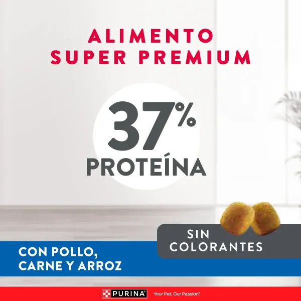 <strong>Purina Excellent</strong> Alimento Seco para Gatitos, Pollo,Carne y Arroz, bolsa de 1 kg - Imagen 4