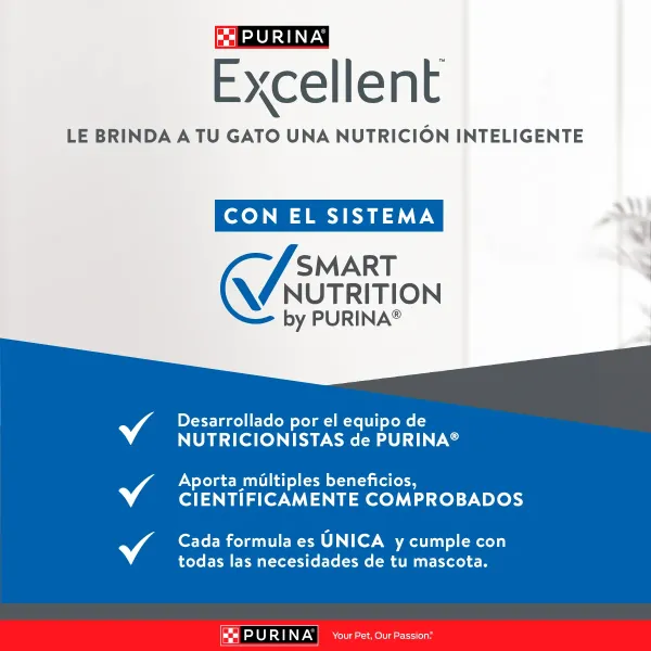 <strong>Purina Excellent</strong> Alimento Seco para Gatitos, Pollo,Carne y Arroz, bolsa de 1 kg - Imagen 3