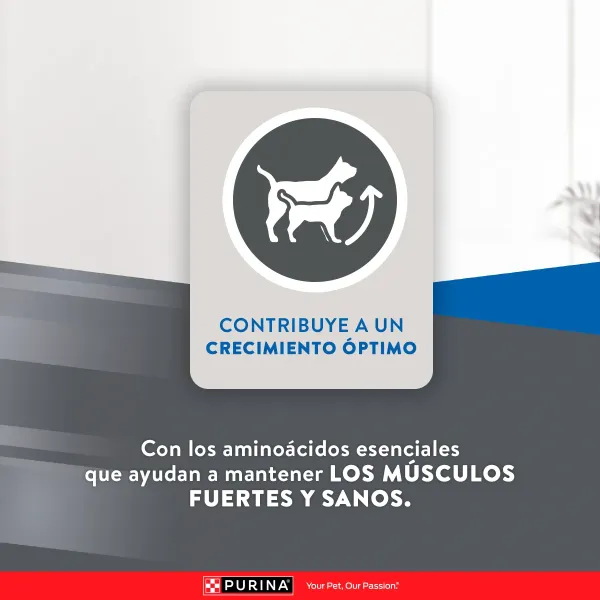 <strong>Purina Excellent</strong> Alimento Seco para Gatitos, Pollo,Carne y Arroz, bolsa de 1 kg - Imagen 5