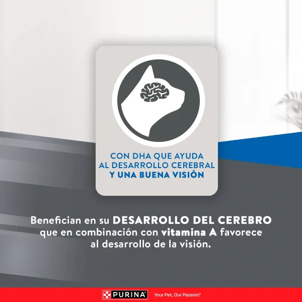 <strong>Purina Excellent</strong> Alimento Seco para Gatitos, Pollo,Carne y Arroz, bolsa de 1 kg - Imagen 6