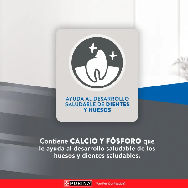 <strong>Purina Excellent</strong> Alimento Seco para Gatitos, Pollo,Carne y Arroz, bolsa de 1 kg - Imagen 7