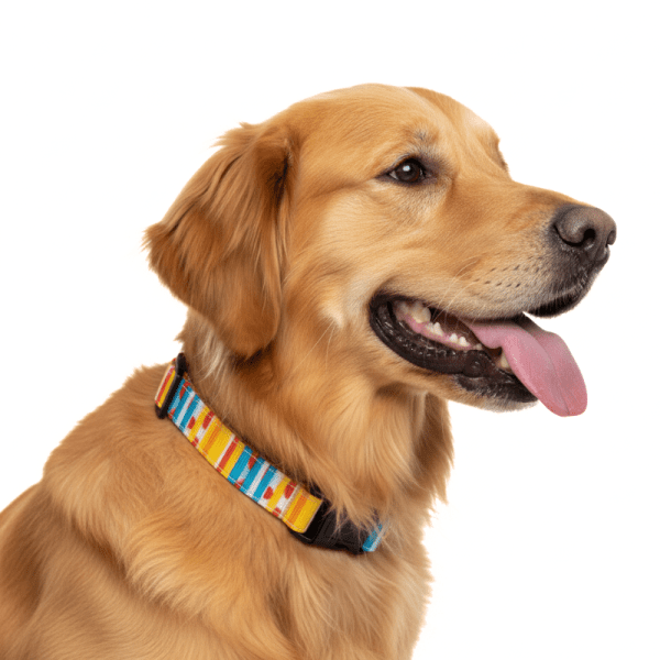 <strong>Wonder Dog</strong> JW, Collar para Perros, Amarillo, Talla L - Imagen 2