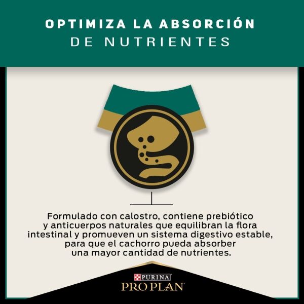 <strong>Purina Pro Plan</strong> Puppy Complete, Alimento Seco para Perros, Cachorro, Raza Mediana, bolsa de 3-12 kg - Imagen 7