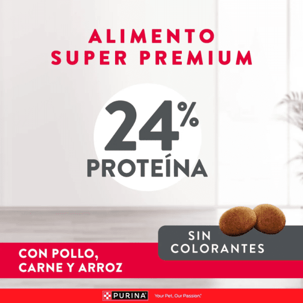 <strong>Purina Excellent</strong> Alimento Seco para Perros, Adulto, Raza Mediana/Grande, bolsa de 12 kg - Imagen 3