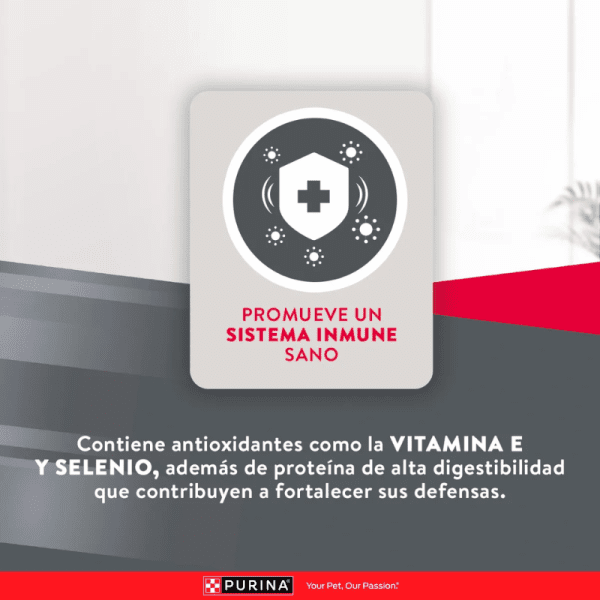 <strong>Purina Excellent</strong> Alimento Seco para Perros, Adulto, Raza Mediana/Grande, bolsa de 12 kg - Imagen 6