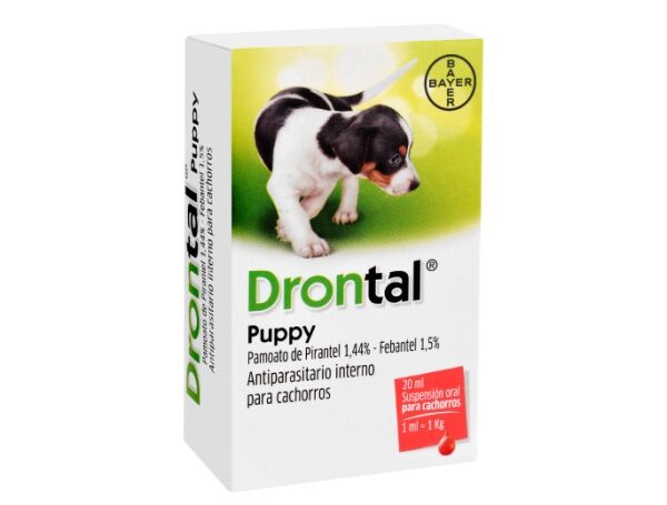 <strong>Drontal</strong> Puppy Suspensión Oral, Antiparasitario Interno para Perros, 1 ml=1 kg, frasco de 20 ml