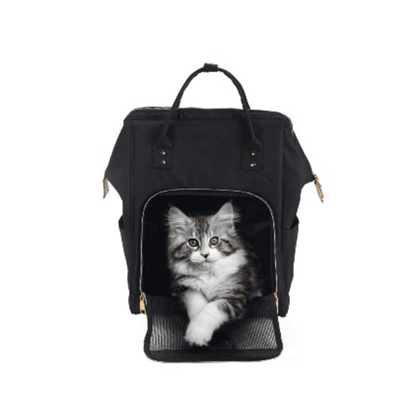 <strong>Maxpet</strong> Mochila BC16, 30x20x43 cm, Color Negro