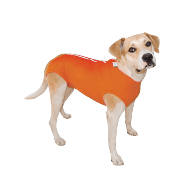 <strong>Pet Med</strong> Body Tradicional Post Quirúrgico para Perros, Naranja, Tallas 00-16