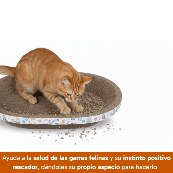 <strong>Guau!</strong> Rascador de Cartón para Gatos Ovalado, Con Catnip, Café con Diseños - Imagen 3